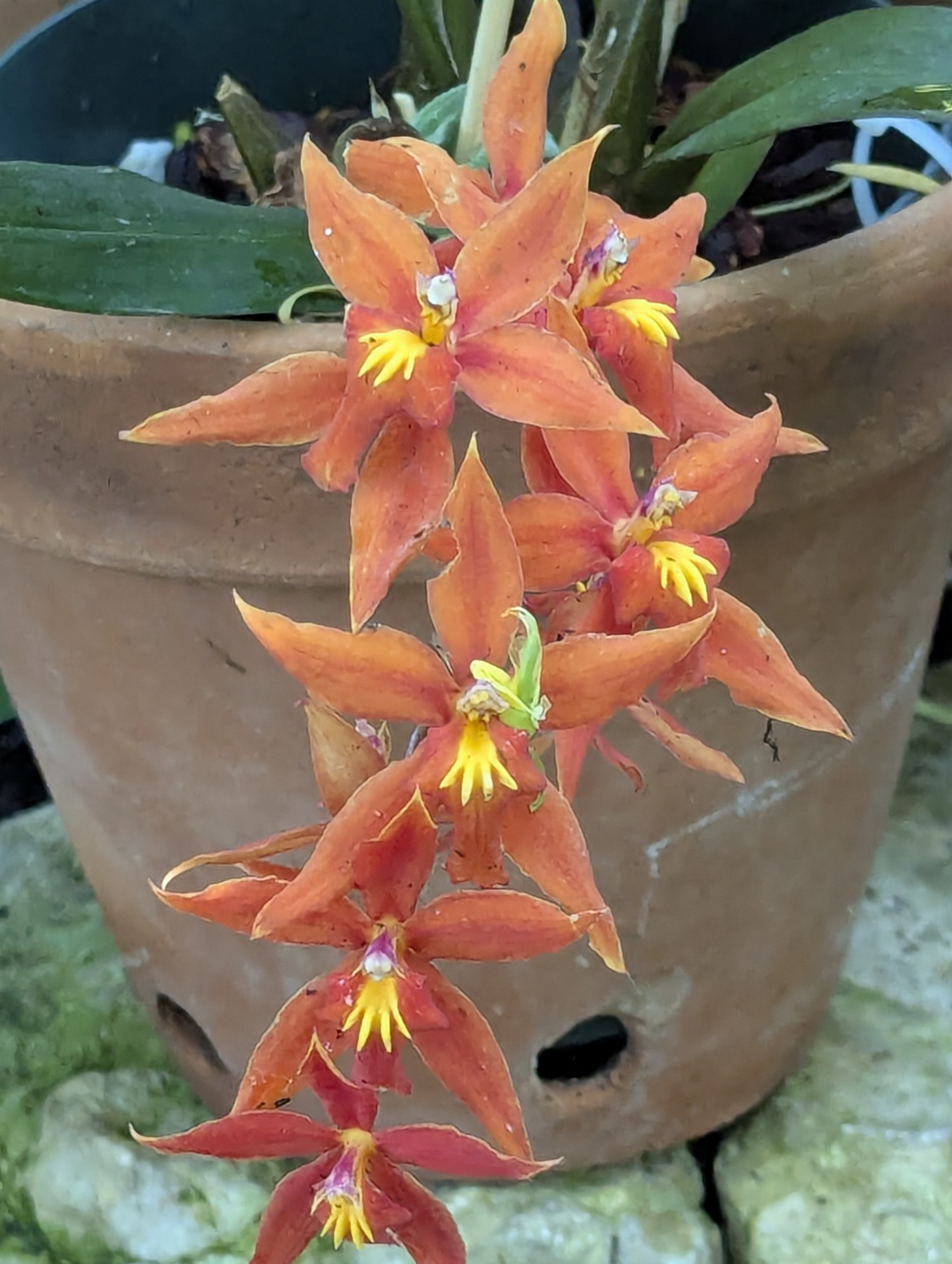 Birthday Trip to Canada, Edmonton, Pyramids, Muttart Observatory